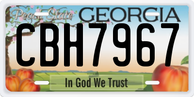 GA license plate CBH7967