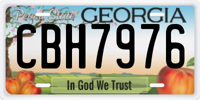 GA license plate CBH7976