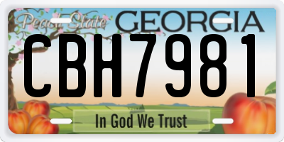 GA license plate CBH7981