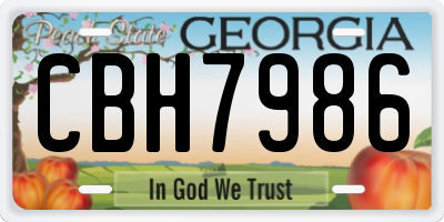 GA license plate CBH7986