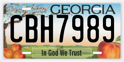 GA license plate CBH7989