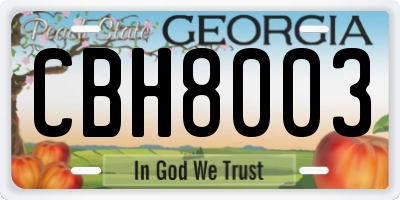 GA license plate CBH8003