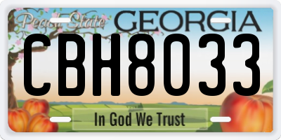 GA license plate CBH8033