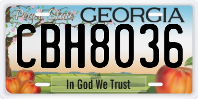 GA license plate CBH8036