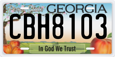 GA license plate CBH8103