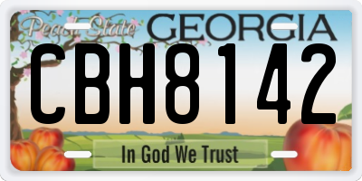 GA license plate CBH8142