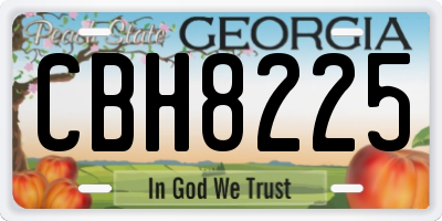 GA license plate CBH8225