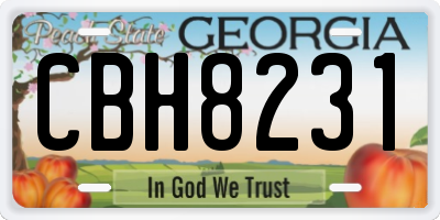 GA license plate CBH8231