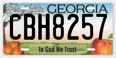 GA license plate CBH8257