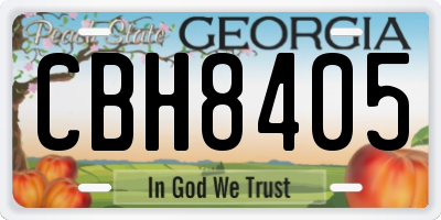 GA license plate CBH8405