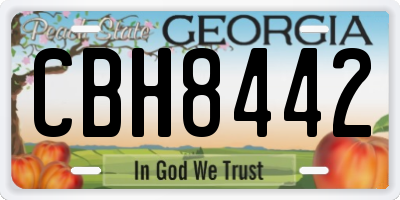 GA license plate CBH8442