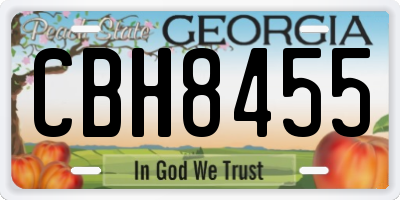 GA license plate CBH8455