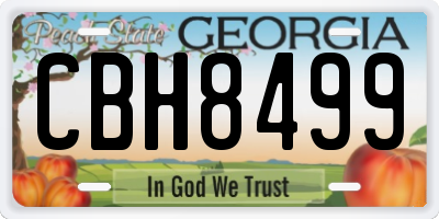 GA license plate CBH8499