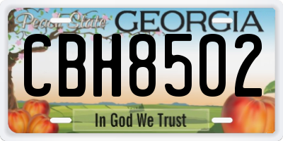 GA license plate CBH8502