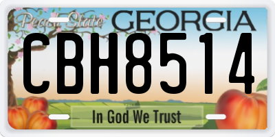 GA license plate CBH8514