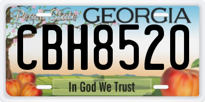 GA license plate CBH8520