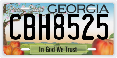 GA license plate CBH8525