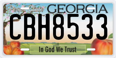 GA license plate CBH8533