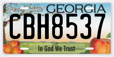 GA license plate CBH8537