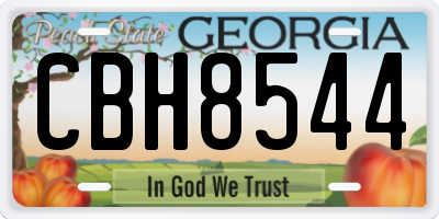 GA license plate CBH8544