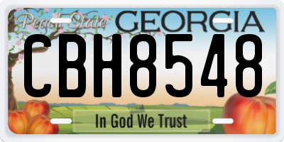 GA license plate CBH8548