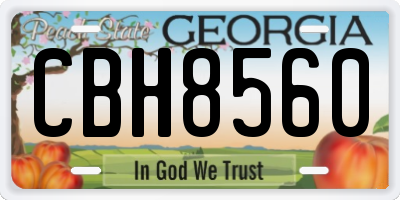 GA license plate CBH8560