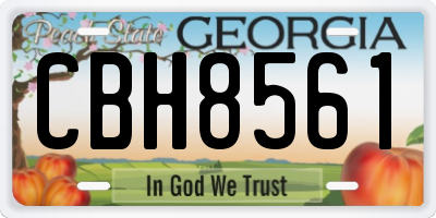 GA license plate CBH8561
