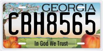 GA license plate CBH8565