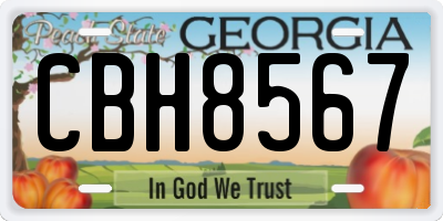 GA license plate CBH8567