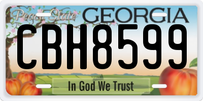 GA license plate CBH8599