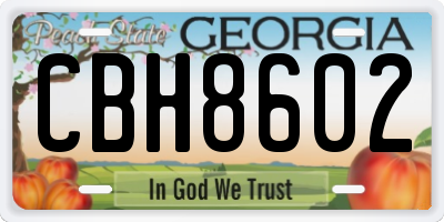 GA license plate CBH8602