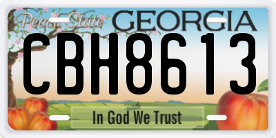 GA license plate CBH8613