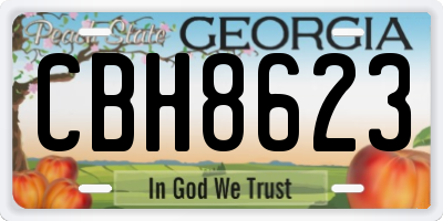 GA license plate CBH8623