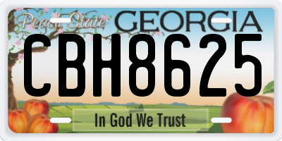 GA license plate CBH8625