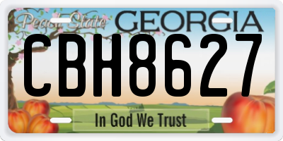GA license plate CBH8627