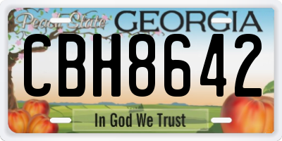 GA license plate CBH8642