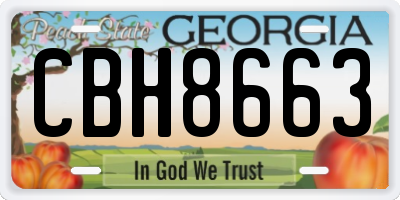GA license plate CBH8663