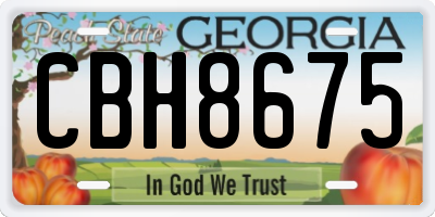 GA license plate CBH8675