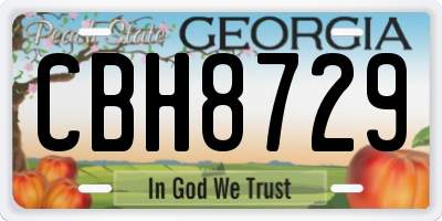 GA license plate CBH8729
