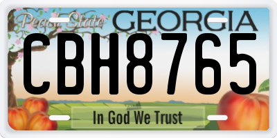 GA license plate CBH8765