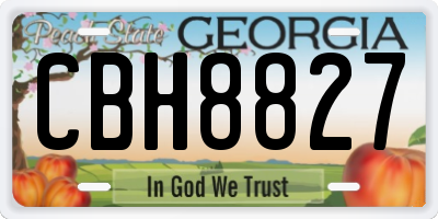 GA license plate CBH8827