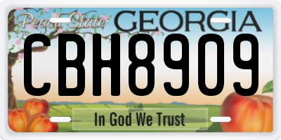 GA license plate CBH8909