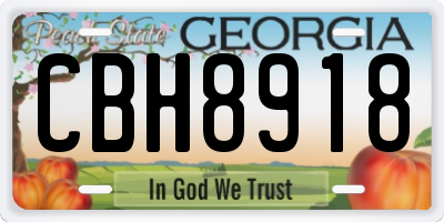 GA license plate CBH8918