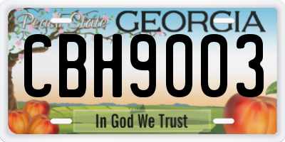 GA license plate CBH9003