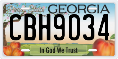 GA license plate CBH9034