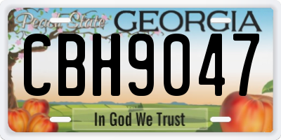 GA license plate CBH9047