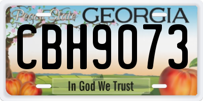 GA license plate CBH9073