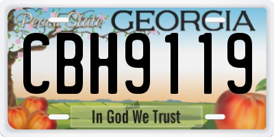 GA license plate CBH9119