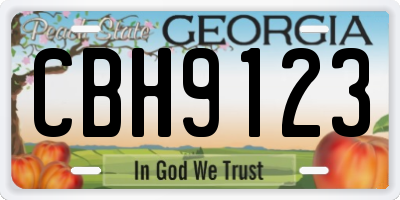 GA license plate CBH9123