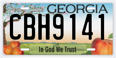 GA license plate CBH9141